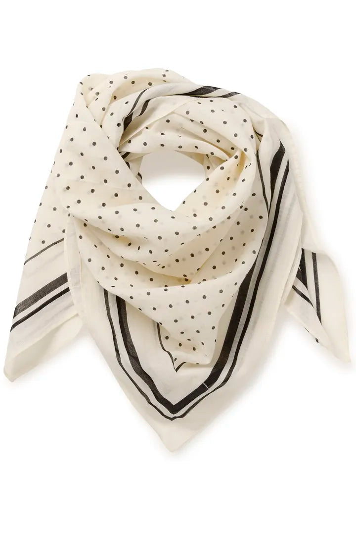 Phi Scarf
