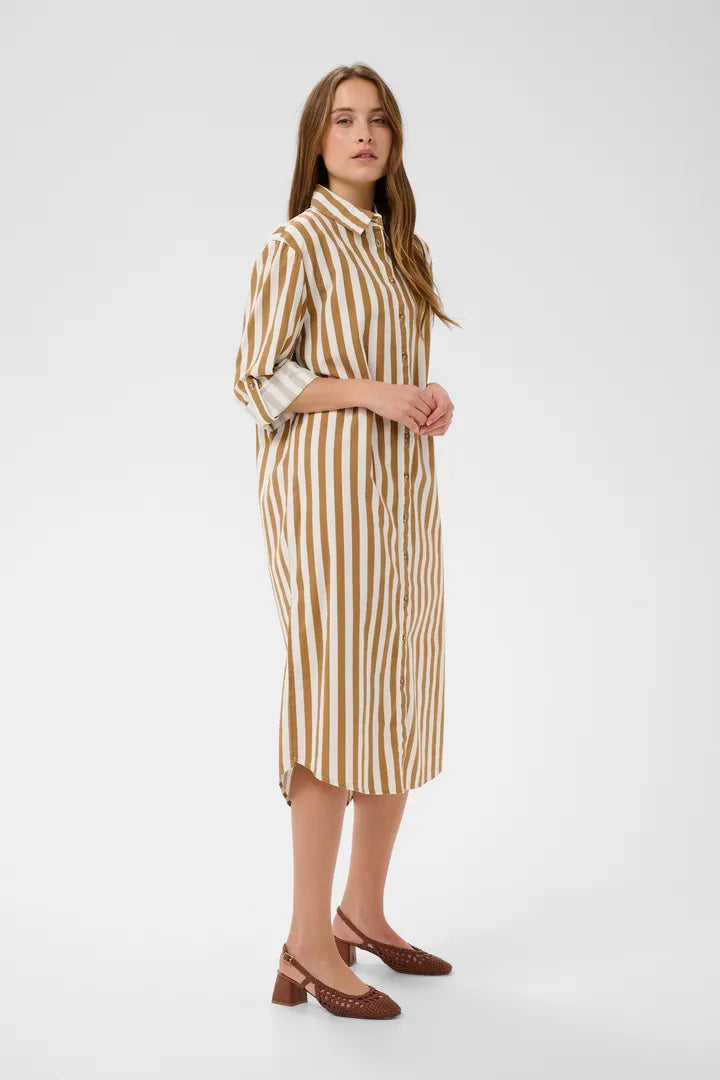 Zalinda Shirt Dress